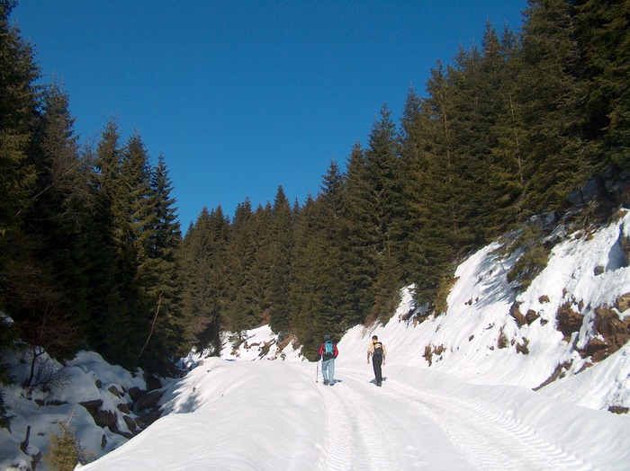 ROMANI 976 - VARFUL ROMANI 09-01-2010 -MUNTII CAPATANII