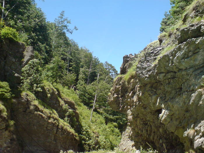 DSC01646
