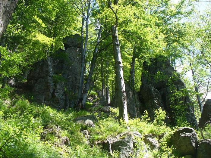 P1000426 - varful Ignis Maramures
