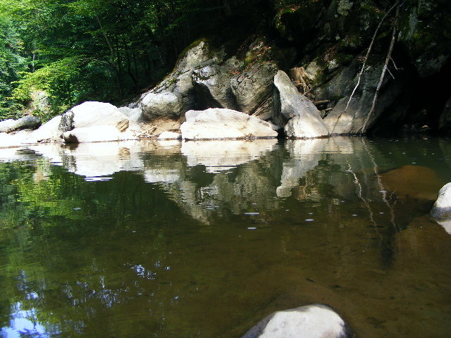 DSCF5195