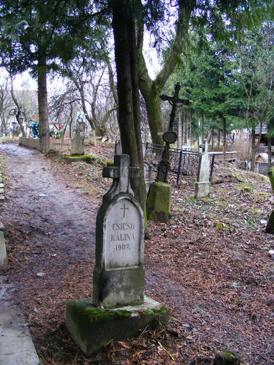 DSCF7671 - Cavnic -Budesti-Breb-Desesti -Mara