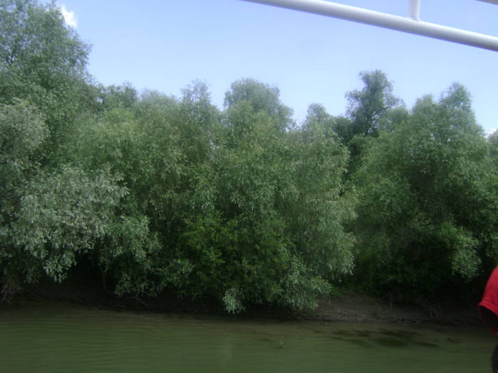 excursie delta dunarii 5062009 088 - EXCURSIE  in DELTA