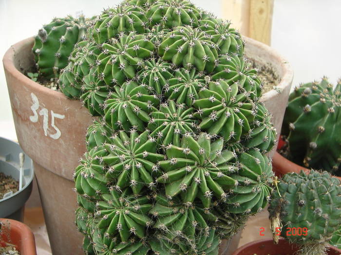 DSC05471