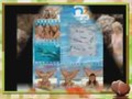 958722733 - H2O just add water