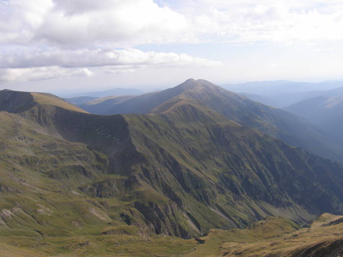 P8252333