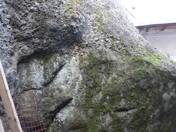 P1040461 - 2009 aprilie manastirile  cetatuia-namaesti-corbi