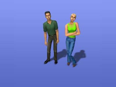 as - the Sims