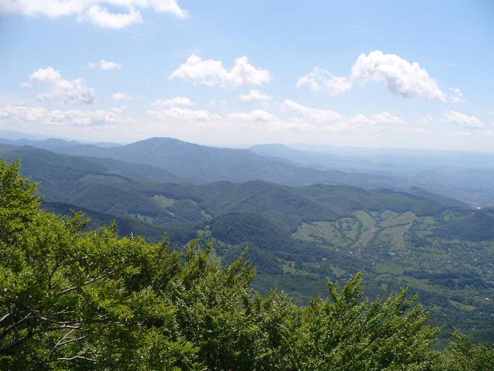 P1000464 - varful Ignis Maramures