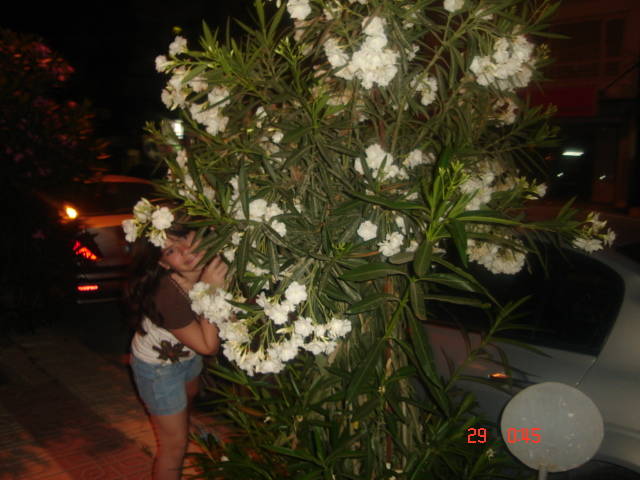 Picture Nokia 084 - 2007 TURCIA KUSADASI