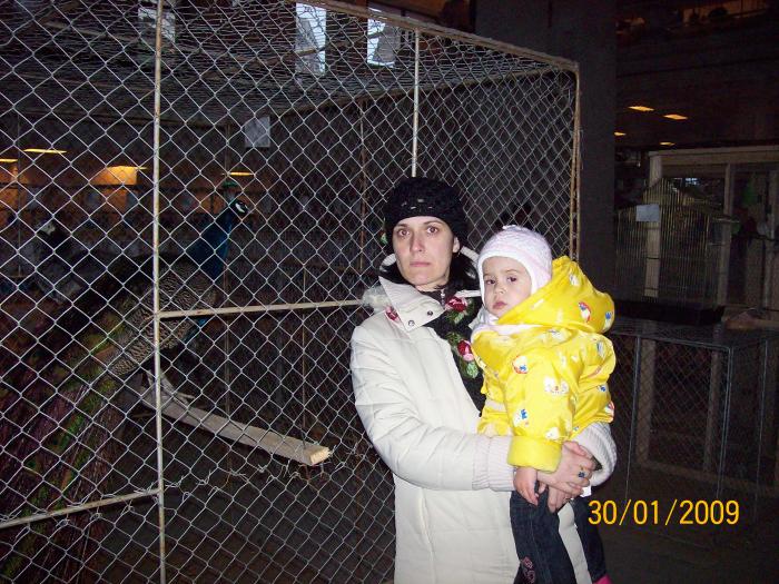 100_3794 - EXPO 2009 SATU MARE