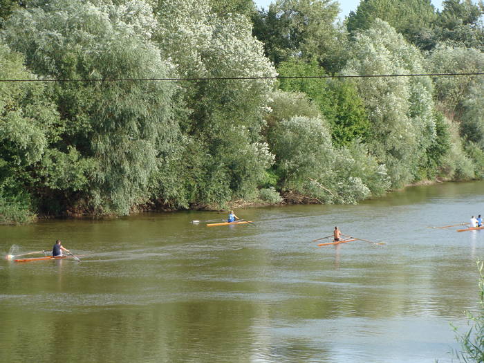 Memorial Sorin Lobont Editia a IX a (2008)