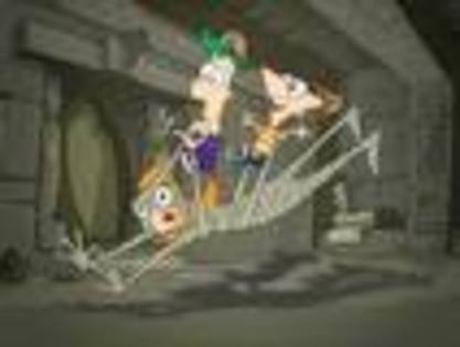 images13 - Phineas si Ferb