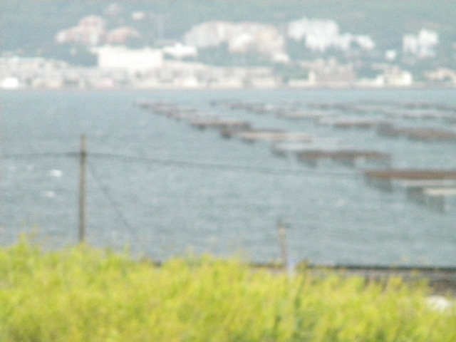 DSCN1582