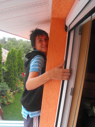 Pe pervazul geamului - Raul