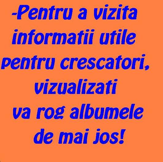 INFO COLUMBOFILI - UTILE pentru crescatori