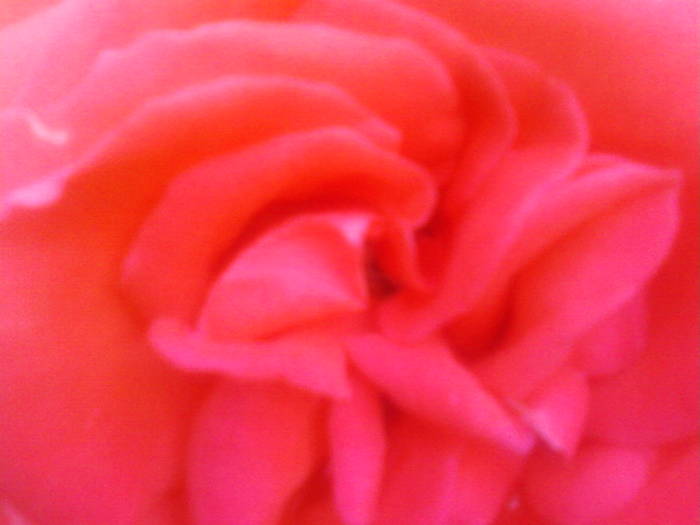 Fotografii-0104