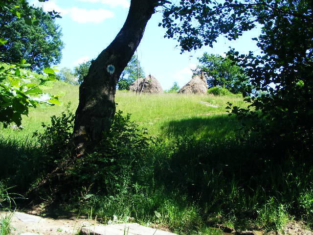 DSCF2023 - varful Ignis Maramures