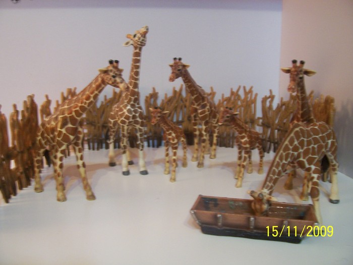 Girafe