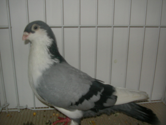 SANY0118