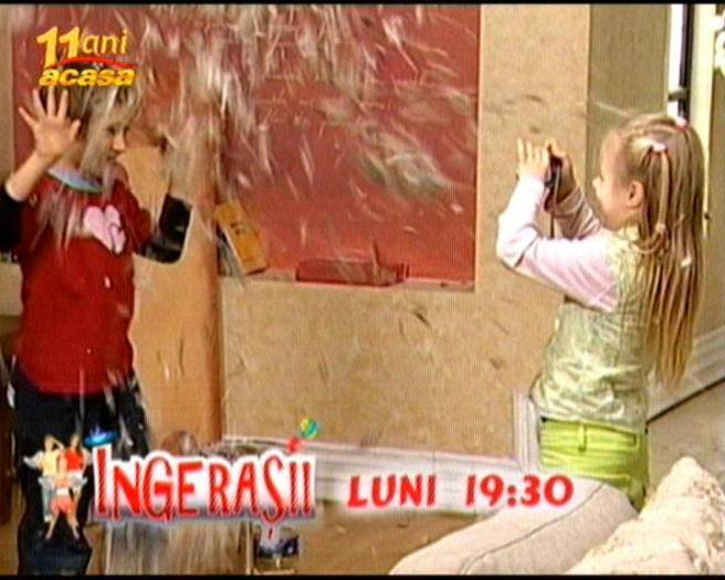 Carina si codin se joaca cu penele