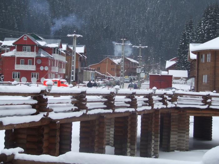 DSCF4752 - poiana zinelor