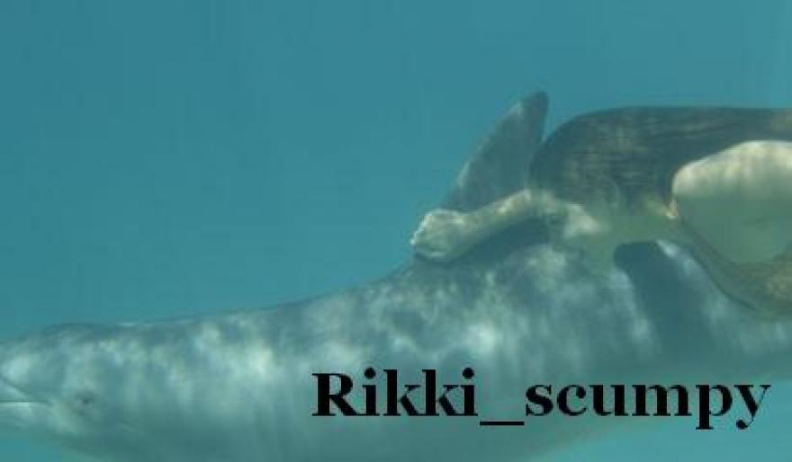 cu delfinul in apa - Cleo Sertori-Phoebe Tonkin