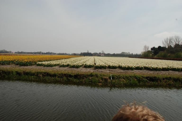 Afbeelding 731