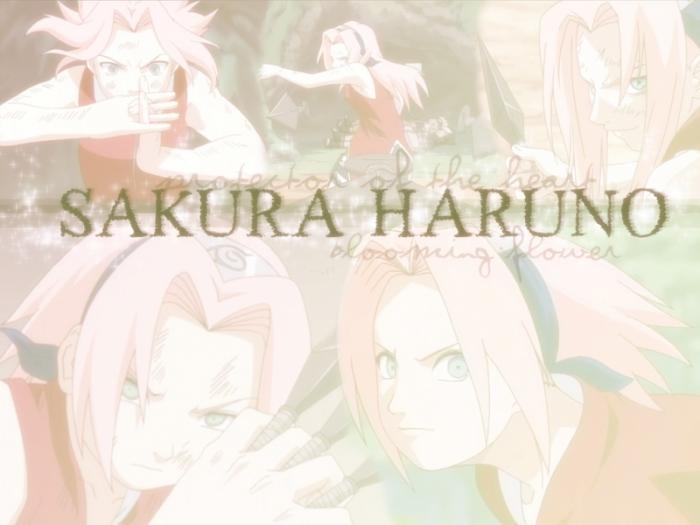 sakura-haruno-named - sakura