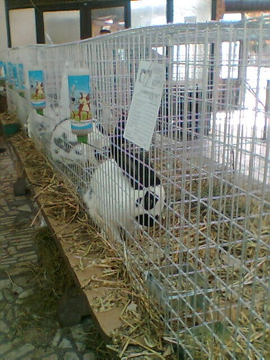 Imag313