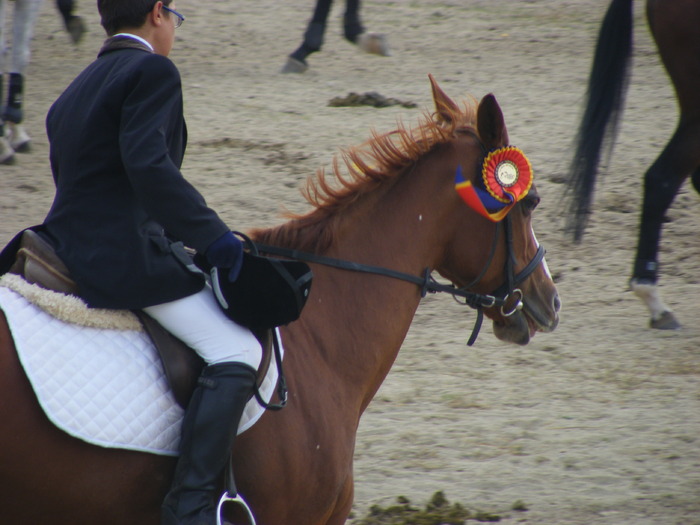 Picture 181 - sept 2009