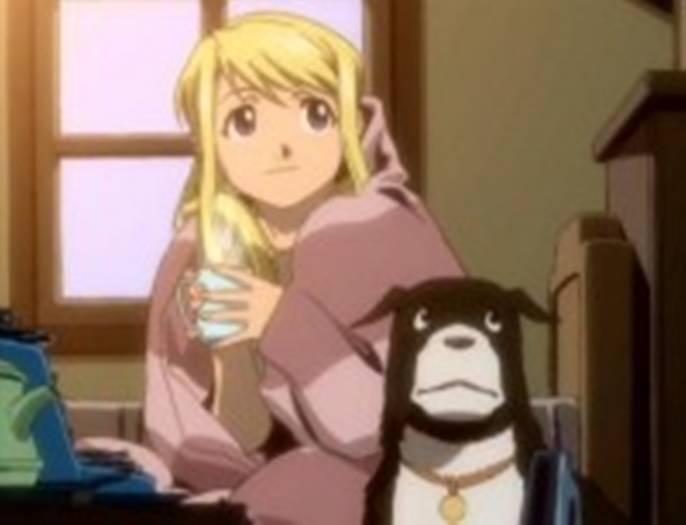 m_560 - full metal alchimist