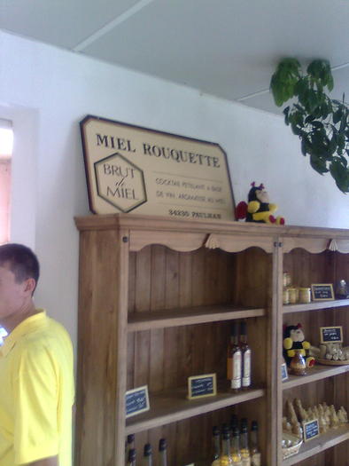 Imagine1444 - ApiMondia