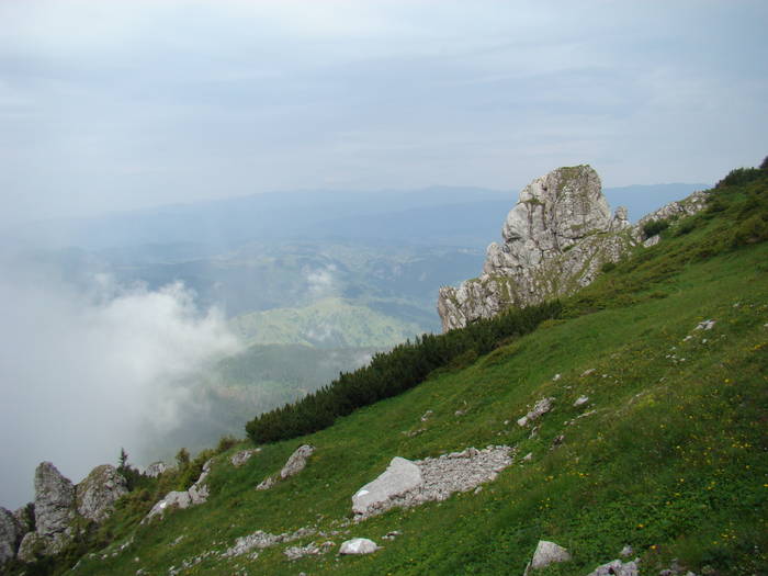 DSC03944 - Concediu 2009