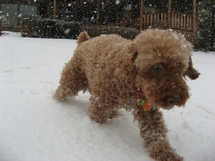 a0918e2815cc6990326af36fd6b30ab4 - CATELUSI