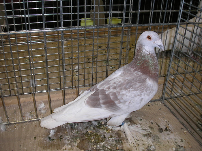 P1010184