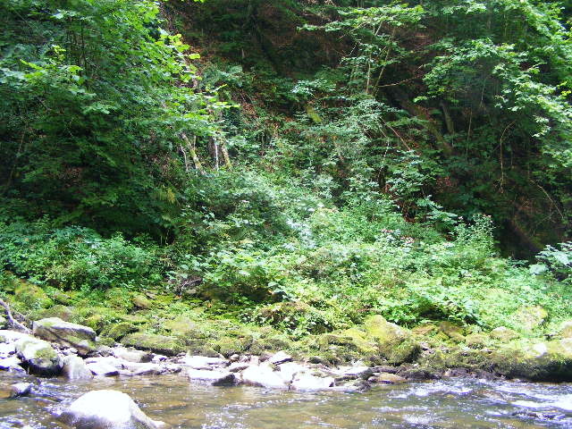 DSCF5068