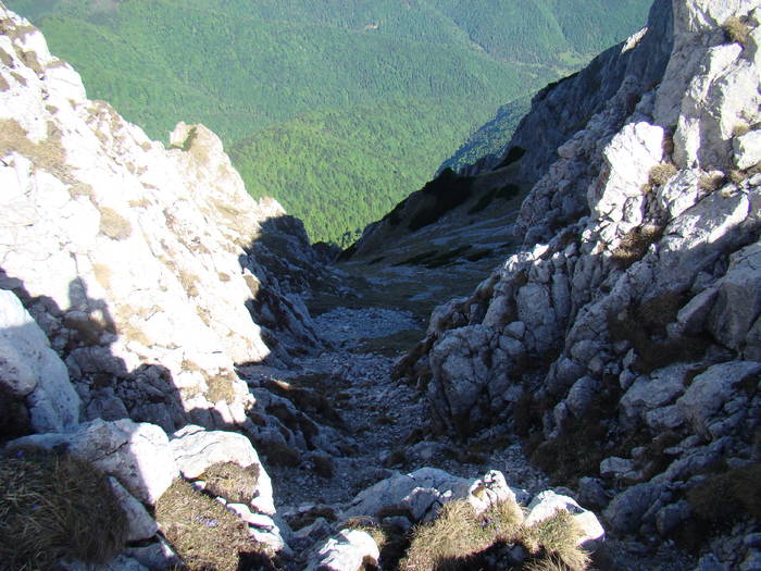 DSC03225 - Piatra Craiului MAI