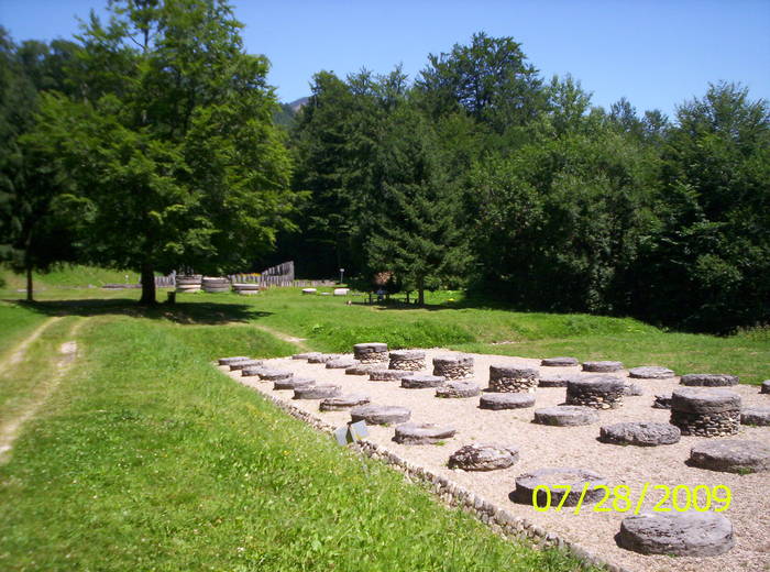 100_1375; SARMIZEGETUSA REGIA.                                E N E R G I E
