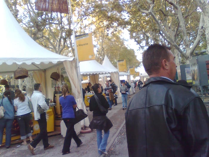 Imagine1222 - ApiMondia