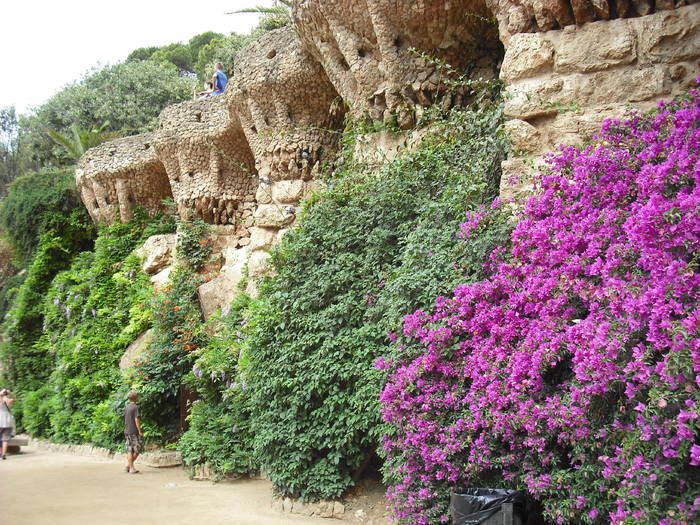 Picture 259 - Parcul Guell