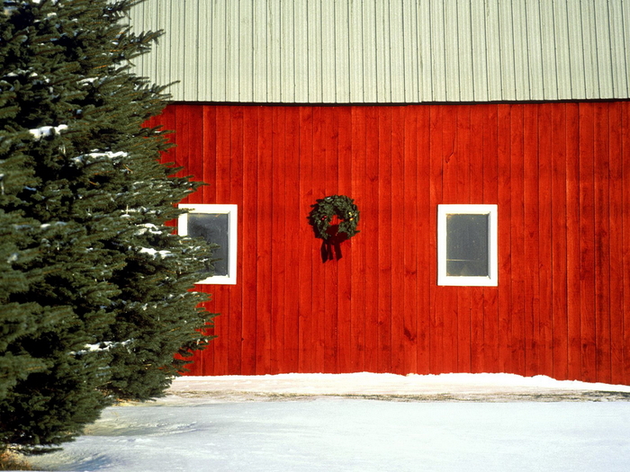 Christmas Wallpapers (99)