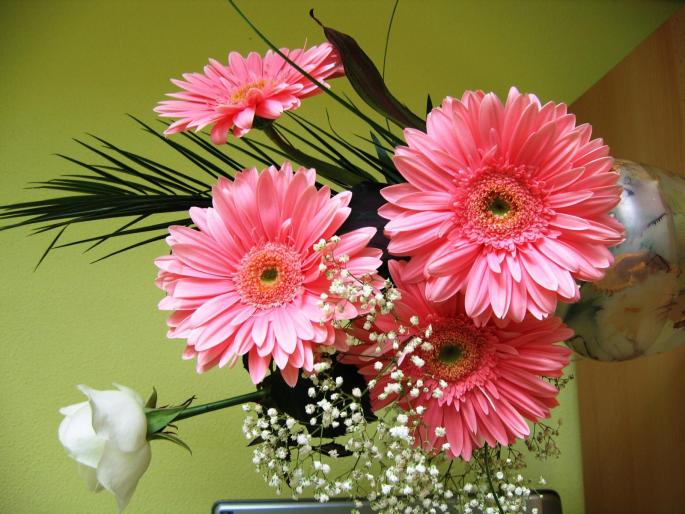 IMG_1250 - flowers