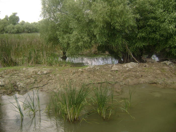 excursie delta dunarii 5062009 118