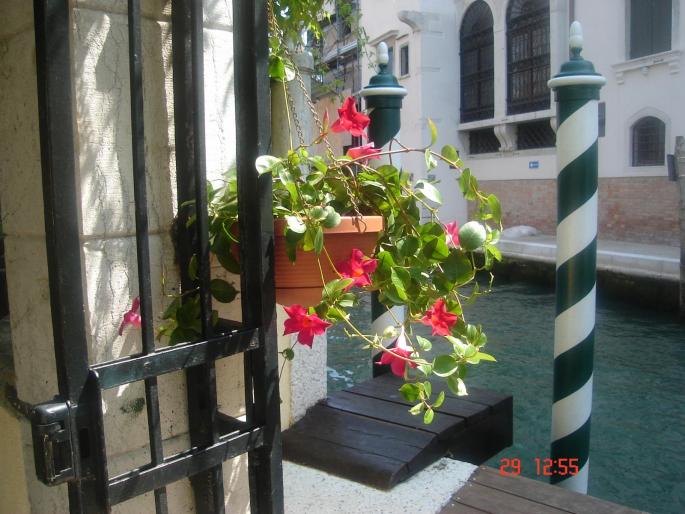 DSC02148 - Vacanta Italia-Venetia 2008