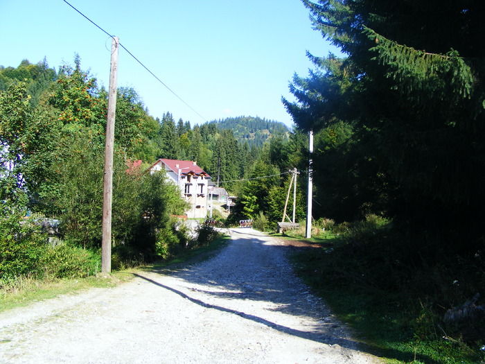 DSCF6256 - muntii Rodnei