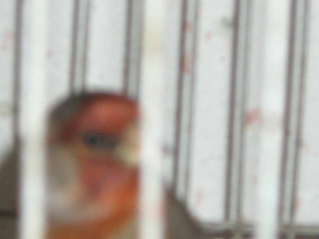 Copy (2) of CIMG0877