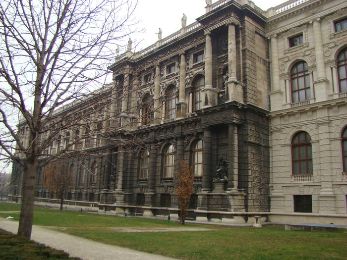 DSC00979 - VIENA