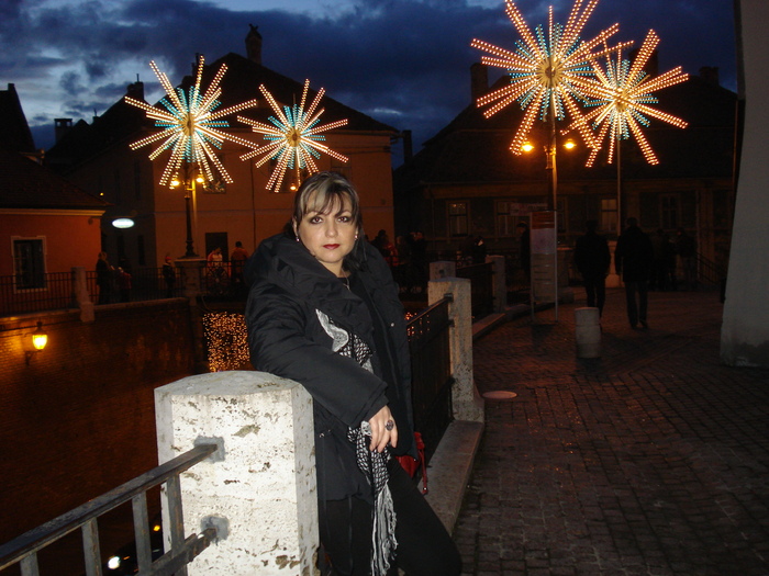 DSC06311 - 2010 REVELION SIBIU
