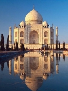 0494123 - Mobile Wallpapers
