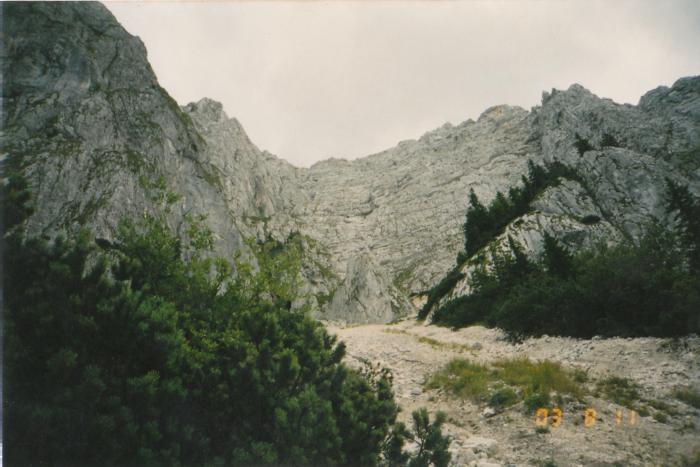 Imagine din timpul urcusului spre muntii Pietrei Craiului